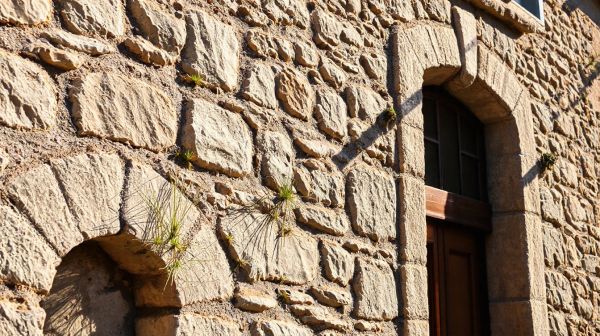 Les 10 critères incontournables pour choisir un maçon à Toulon